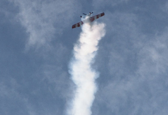 Sukhoi Su-31