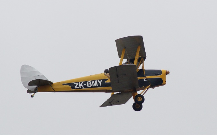 Tiger Moths 2026