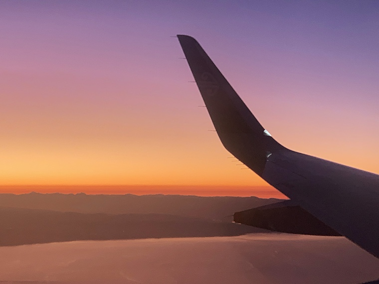 Flight into Wellington