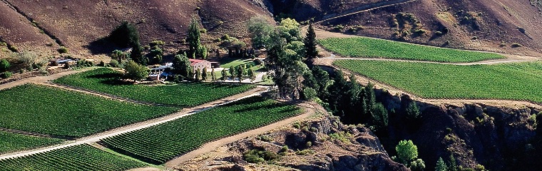 Vineyards