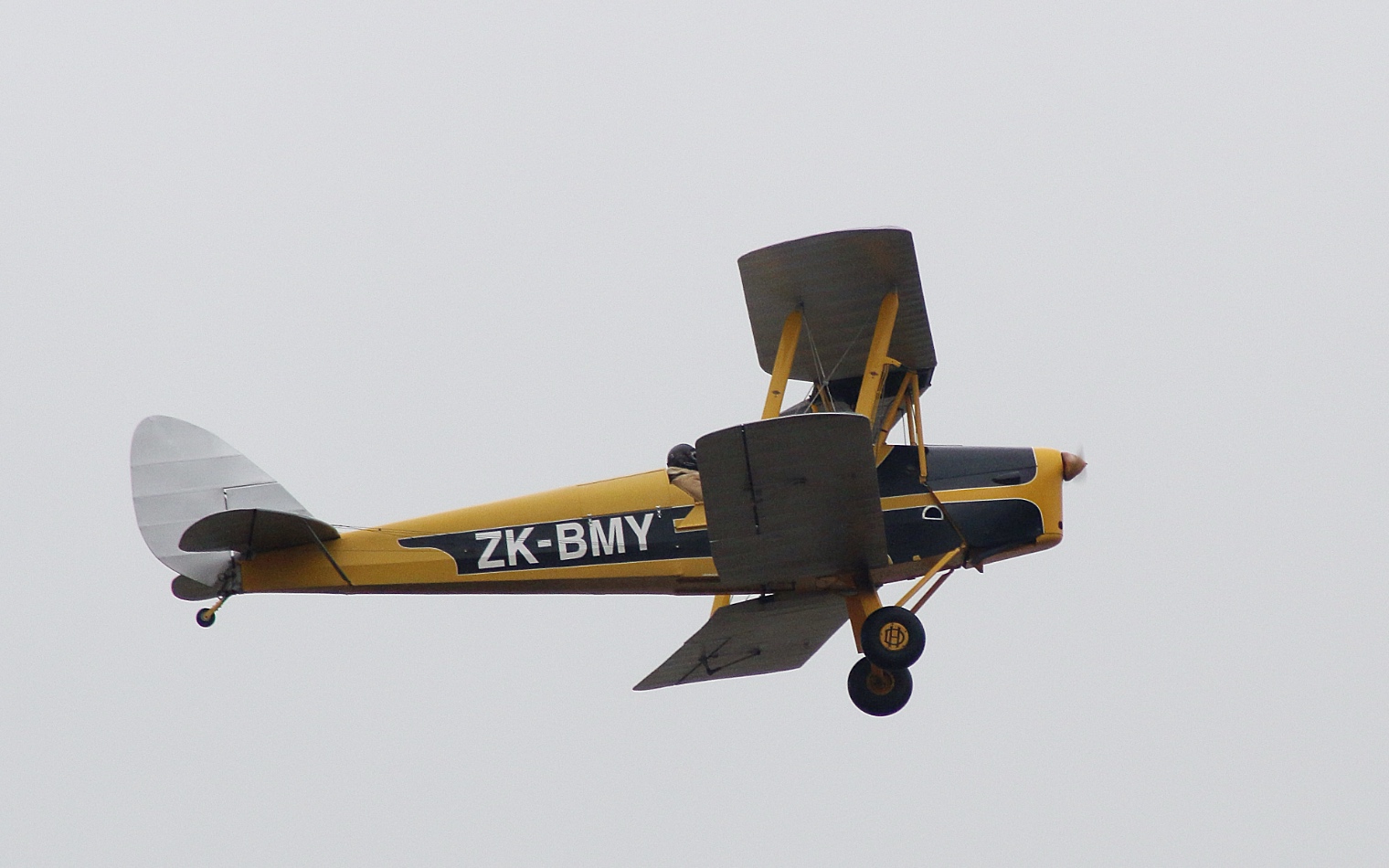 Tiger Moths 2026