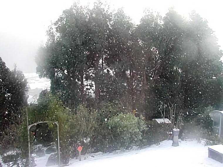 Dunedin Snow 2003