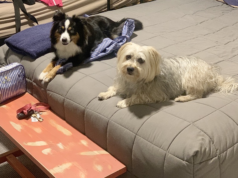 Invercargill 2023-01