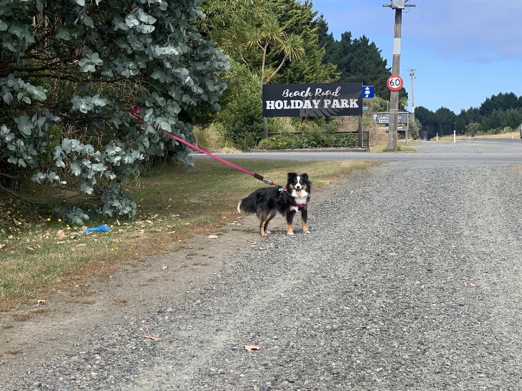 Invercargill 2023-01