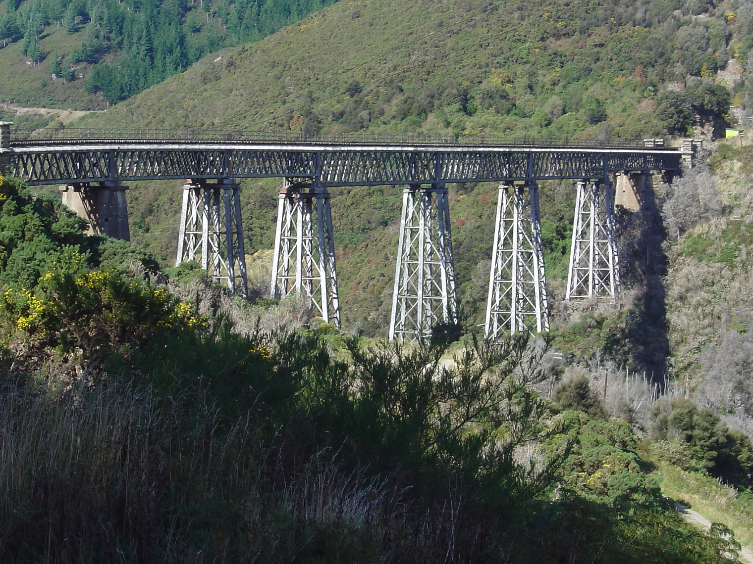Taieri Gorge